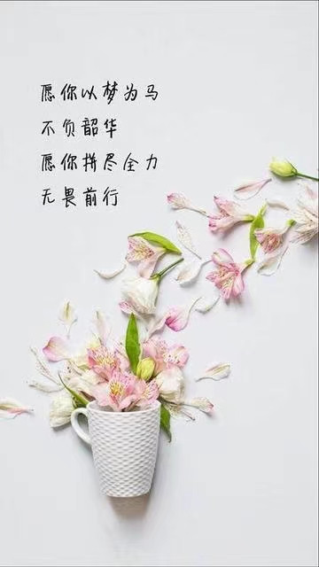 邵陽市華龍中學,邵陽中學教育,高中教育,師資雄厚,名優(yōu)教師